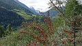 2017-09-11_110216 trentino-suedtirol-2017